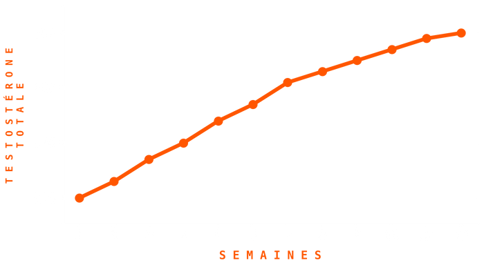 Graphique Testostérone