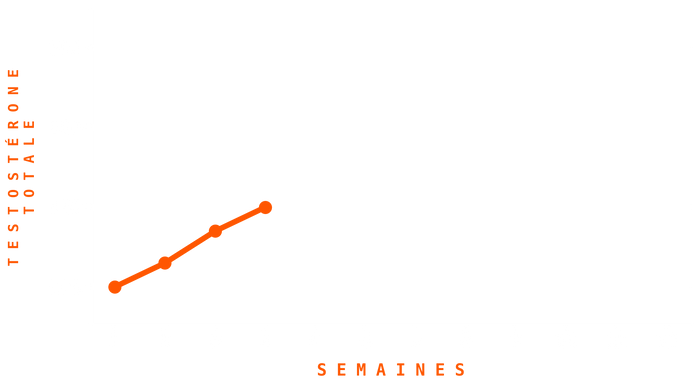 Graphique Testostérone