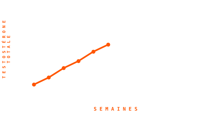 Graphique Testostérone