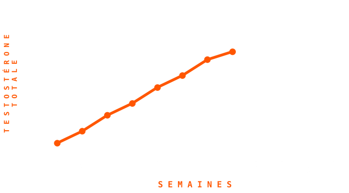 Graphique Testostérone