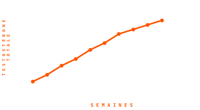 Graphique Testostérone